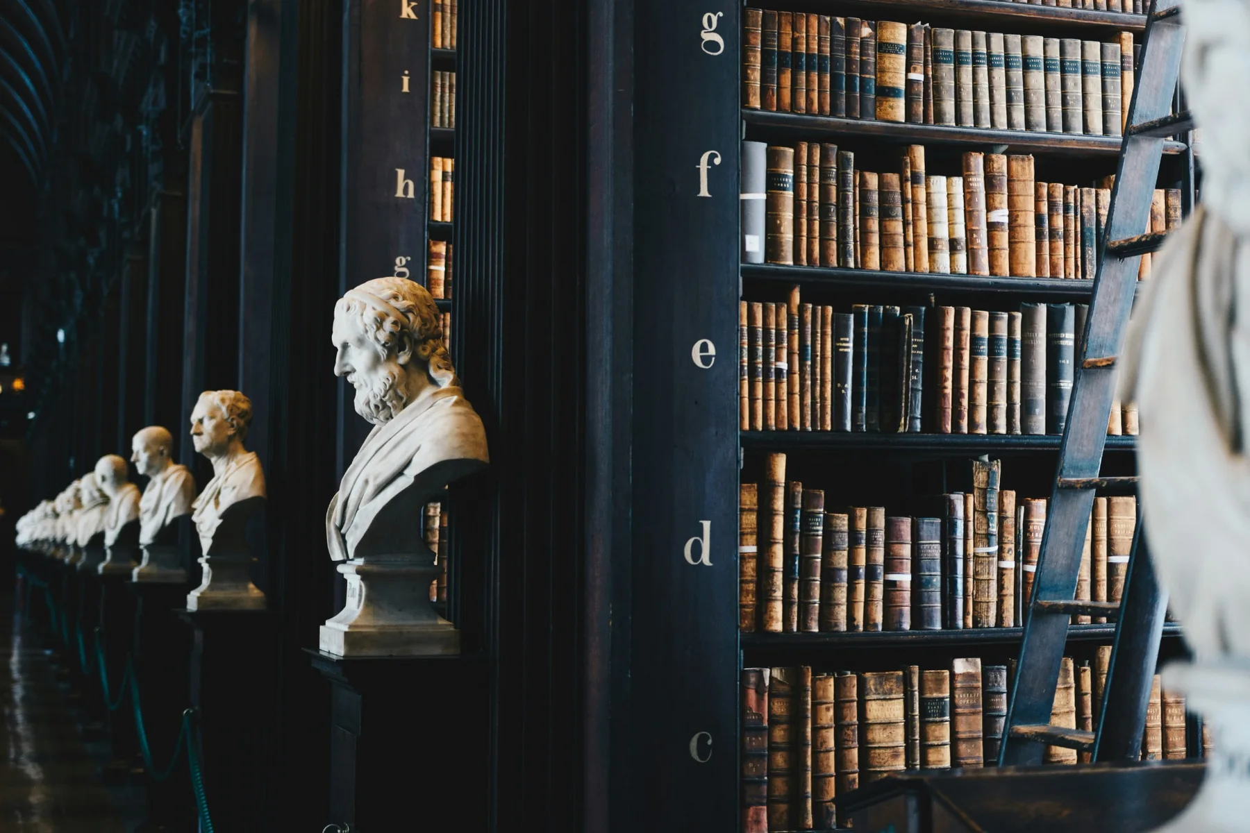 Klassieke bibliotheekgang met marmeren bustes, hoge boekenkasten en een houten ladder.